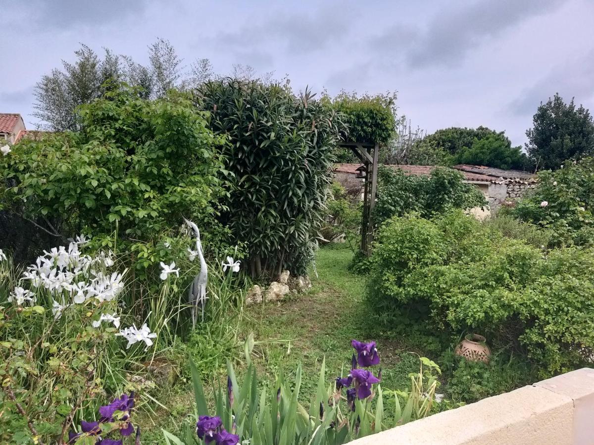 Maison Althea Rosea - 3 Chambres Et Piscine Nieulle-sur-Seudre Екстериор снимка